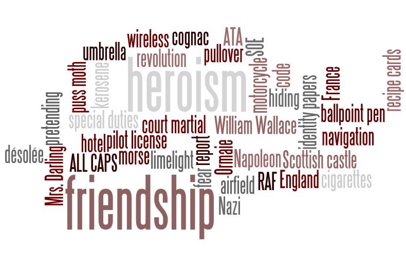 The Well in the Wood "Code Name Verity" by Elizabeth Wein