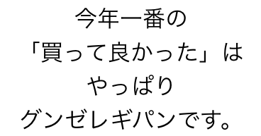 2016年に買って良かった服と靴ベスト5(全て1万円以下)。のアイキャッチ画像