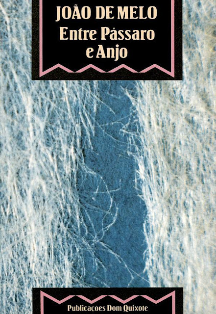 Entre Pássaro e Anjo - João de Melo