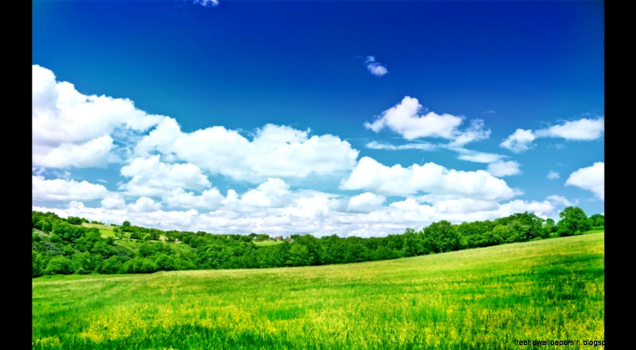 Download Description Free Download Beautiful Nature Desktop