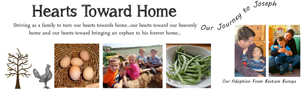  Hearts Toward Home