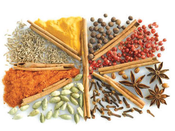 Sejarah Indonesia: Kedatangan Bangsa Barat di Dunia Timur