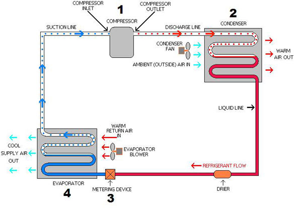 Refrigeration: Refrigeration Compressor Diagram