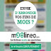 Moolineo - Gagner 500 euros par mois avec Moolineo !