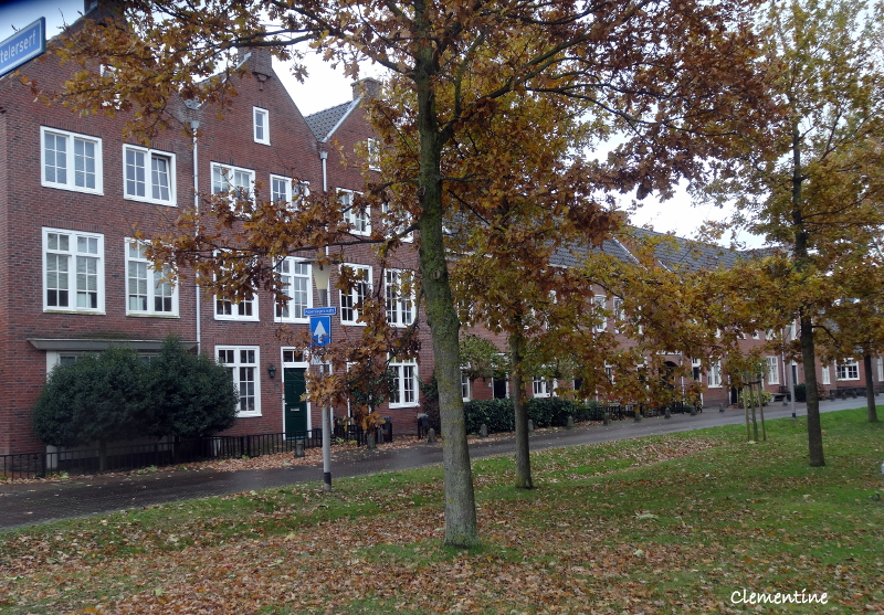 Comment S Appelle L Arbre Des Clémentines Le blog de Clementine: Arnhem quartier Schuytgraaf (Pays-Bas)