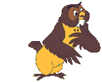 Animasi Burung Hantu lihat sana sini Animasi Burung Hantu lihat sana sini