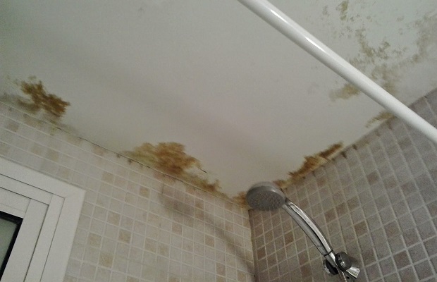 Desatascos Sevilla: Reparación de goteras en el baño