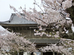 �������R��ƍ�