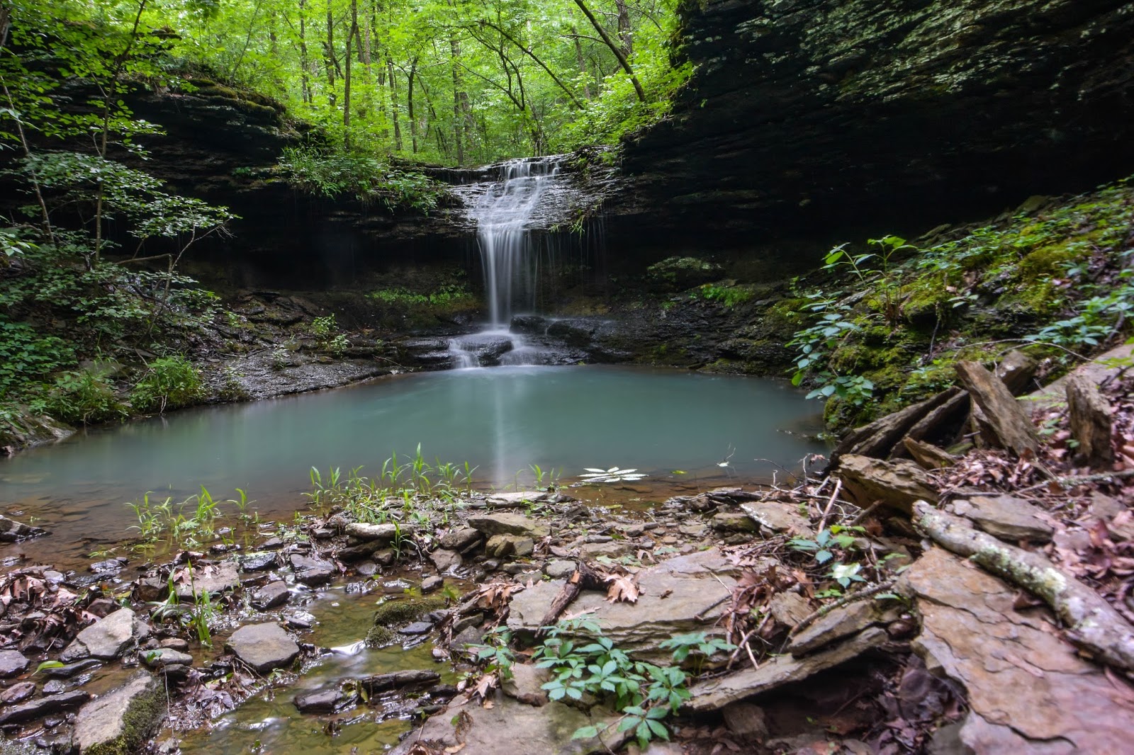 Rick's Hiking Blog Brushy Fork (northeast prong) Waterfalls, Ozarks