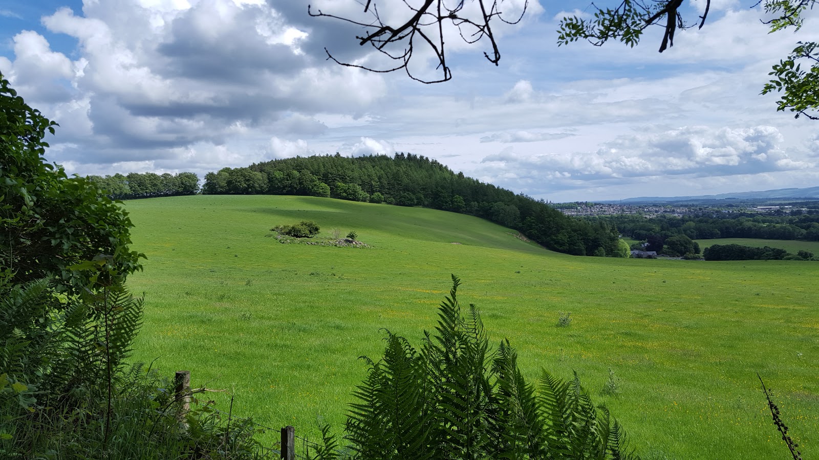Neil's Hillwalking Exploits Crieff Laggan Hill and Tom a'Chasteil and
