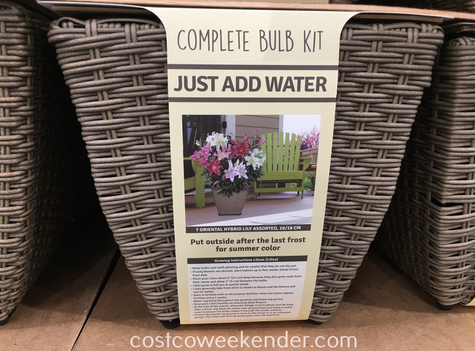 Complete Bulb Kit Container Costco Weekender