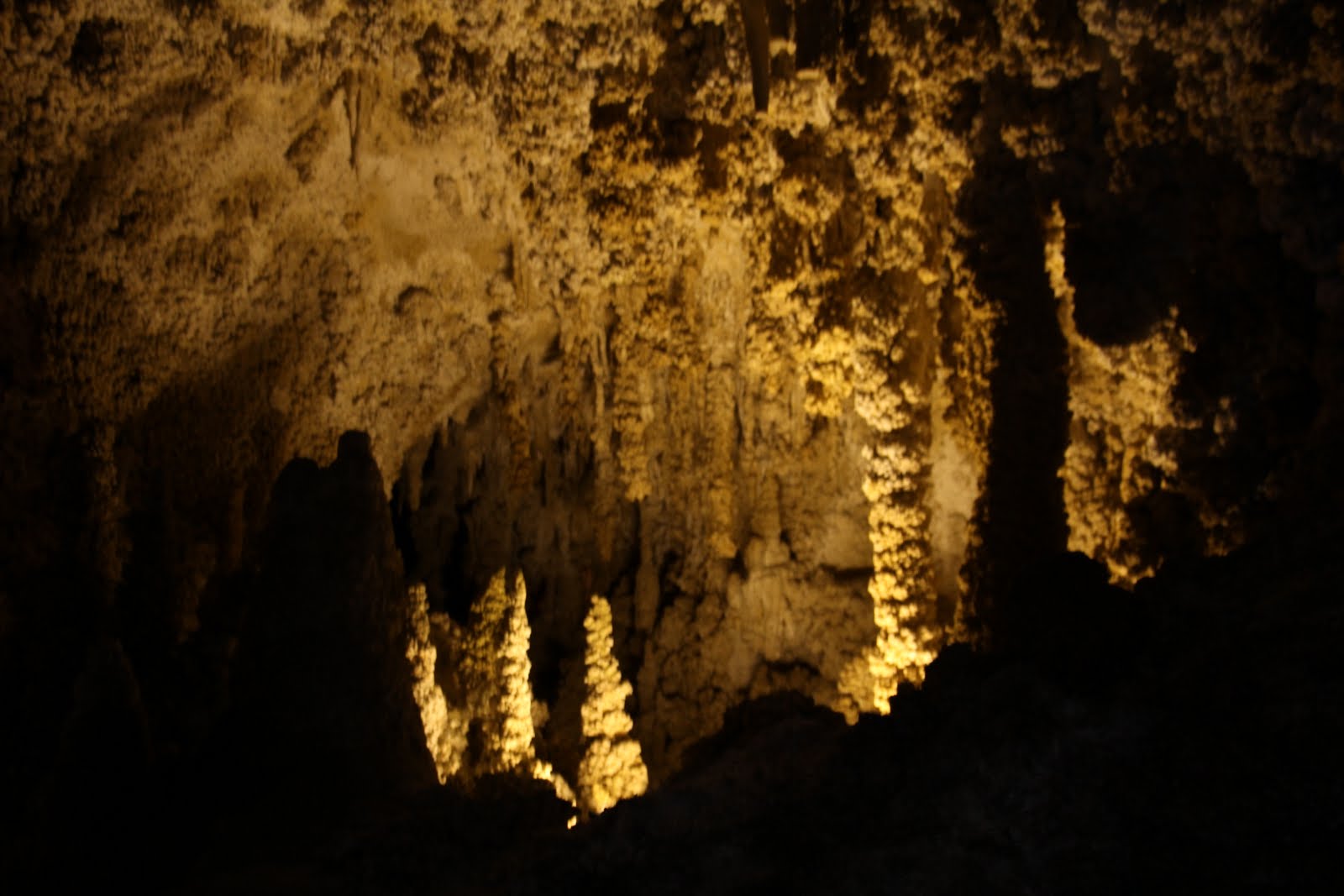 Operation Explorations Carlsbad Caverns National Park