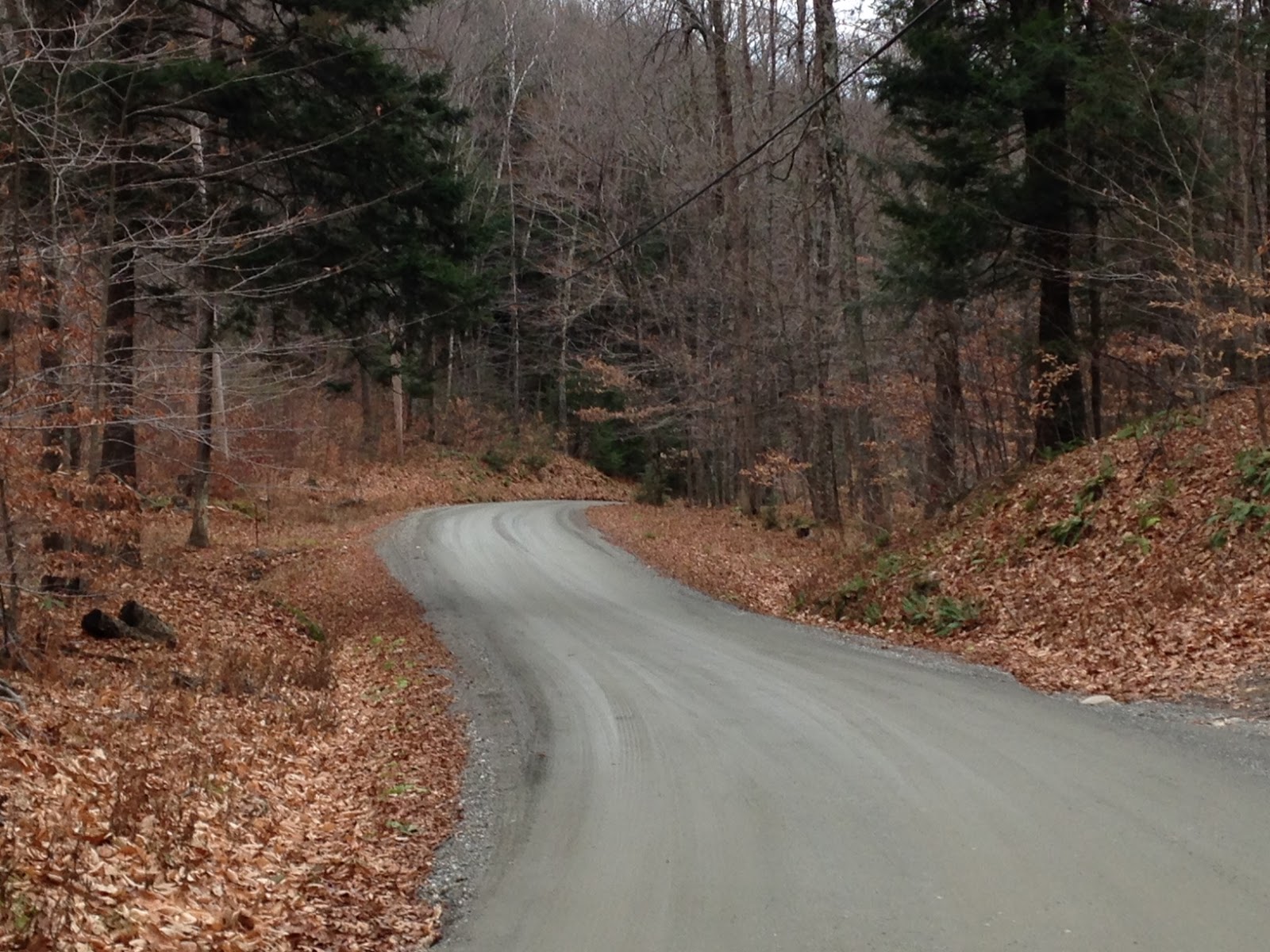 RtNP70 On A Dirt Road In Vermont Running The Narrow Path podcast