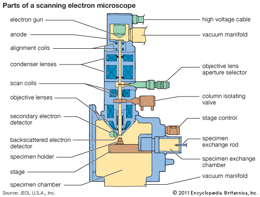 diagram of electron microscope how do we see nanostructures how many types of diagram of electron microscope how do we see nanostructures how many types of