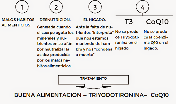 Como enfermamos tramiento-para-el-hipotiroidismo