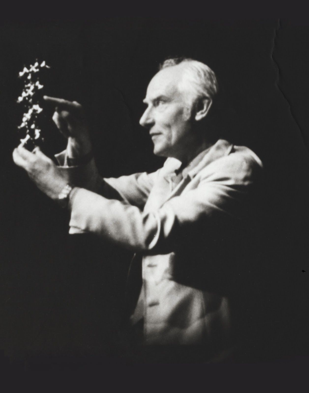 Facts about francis crick image