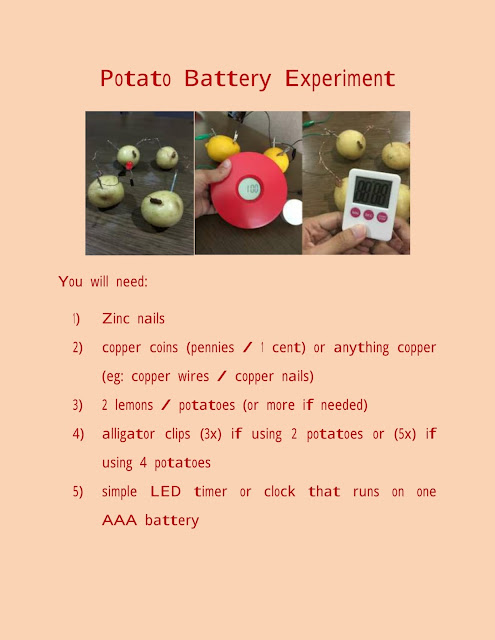 mikahaziq: Potato Battery Experiment - Why is mine not working???