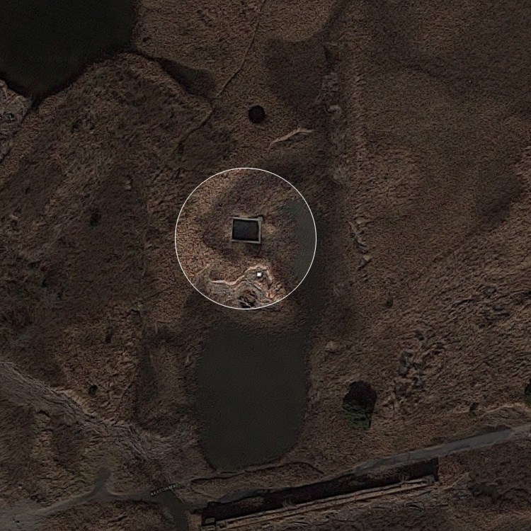 スゴログ 盤州干潟 浸透実験池
