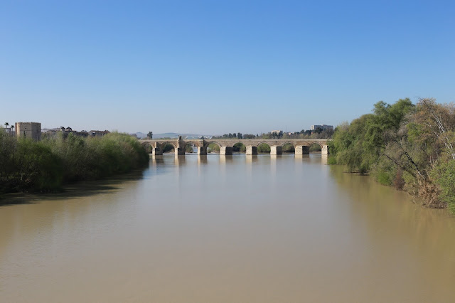 Un gran río rodeado de vegetación con un puente antiguo al fondo bajo el cielo azul.