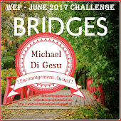 WEP AWARD FOR INVISIBLE BRIDGES