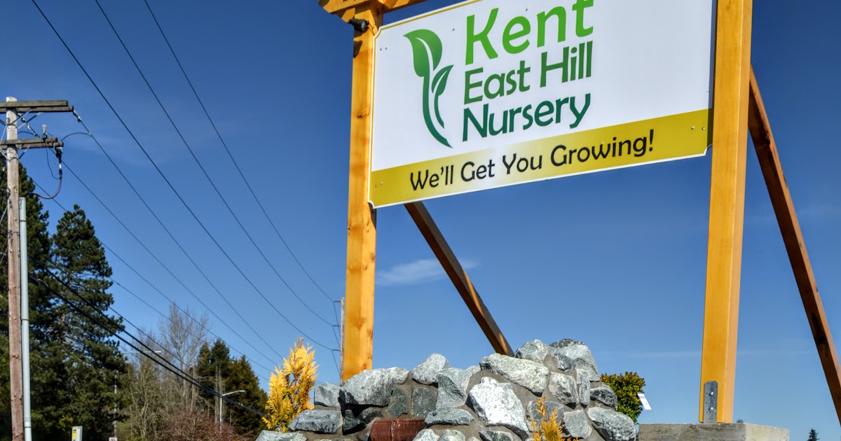 The Outlaw Gardener Kent East Hill Nursery Off to a Great Start!