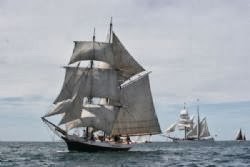 maritime selandia baru maritime selandia baru