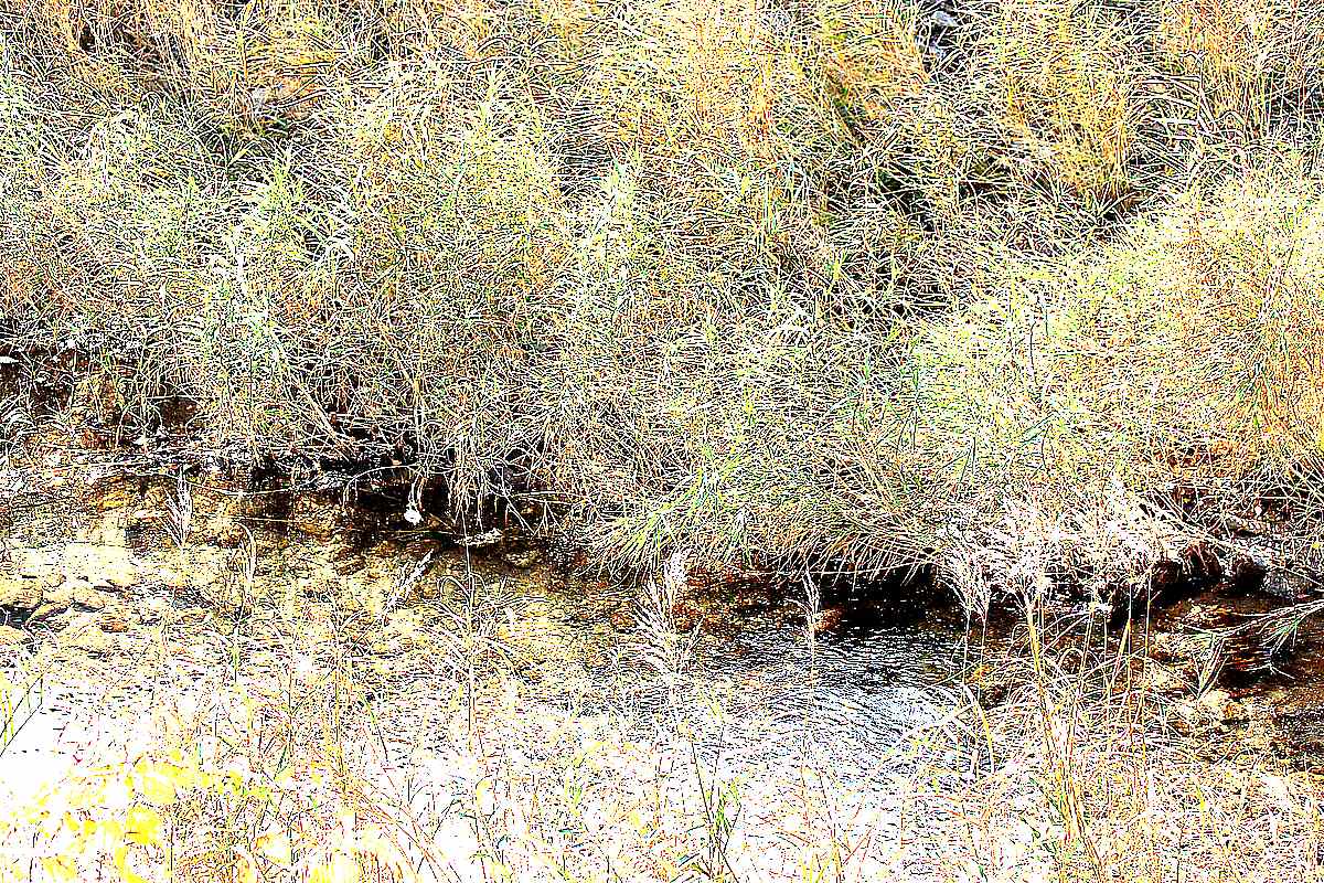 순천 조계산 선암사