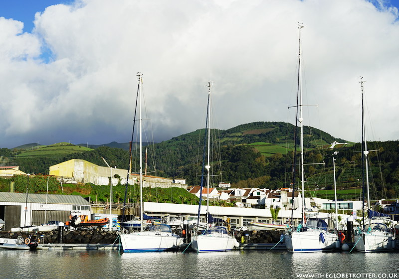 Whale Watching In The Azores Islands With Terra Azul