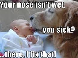 funny baby and dog image