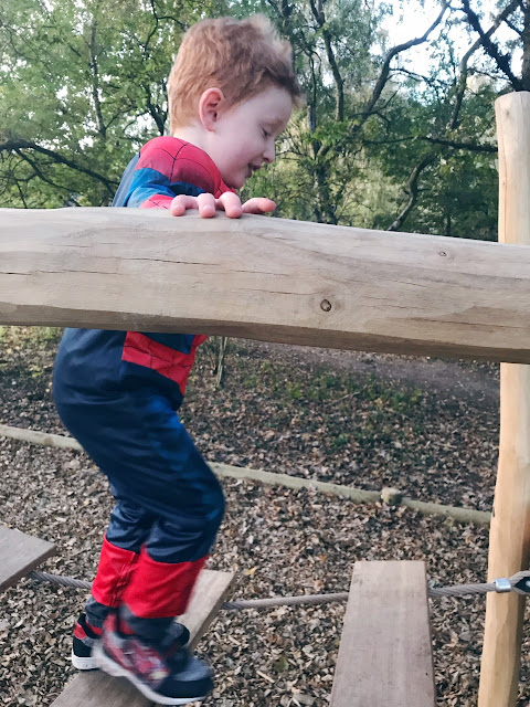 Little boy playing on a play park robe bridge