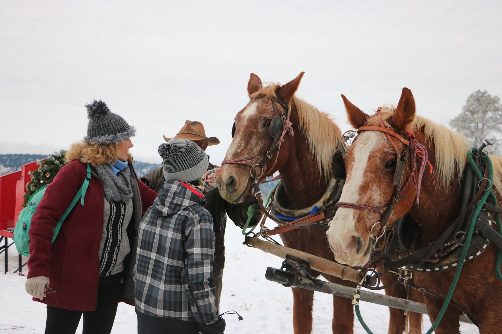 Stueby S Outdoor Journal Book An Idaho Sleigh Ride For Family Fun
