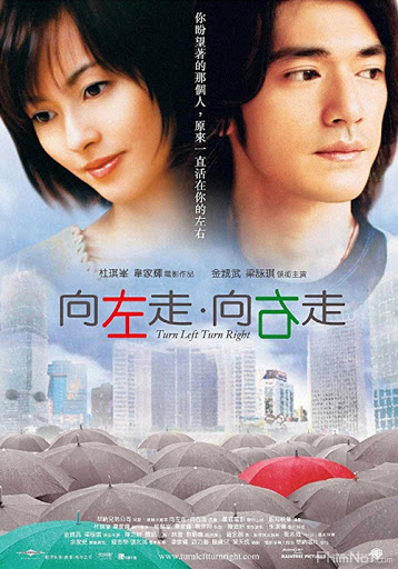 Turn Left, Turn Right (2003)