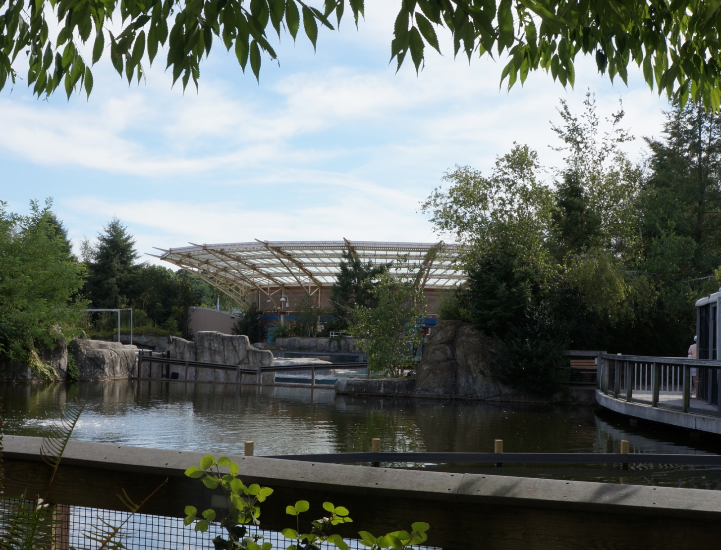 Evan and Lauren's Cool Blog: 8/1/13: Mystic Aquarium Fun and ...