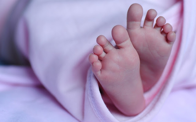 Mueren 11 bebés durante experimento con Viagra