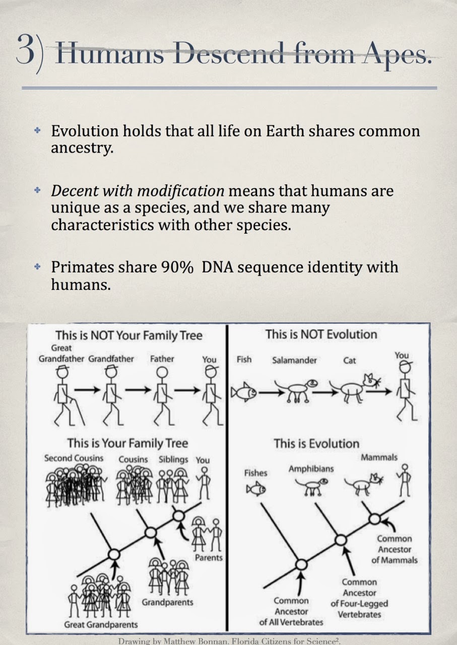 Progressive History Teacher: Top 5 Misconceptions About Evolution