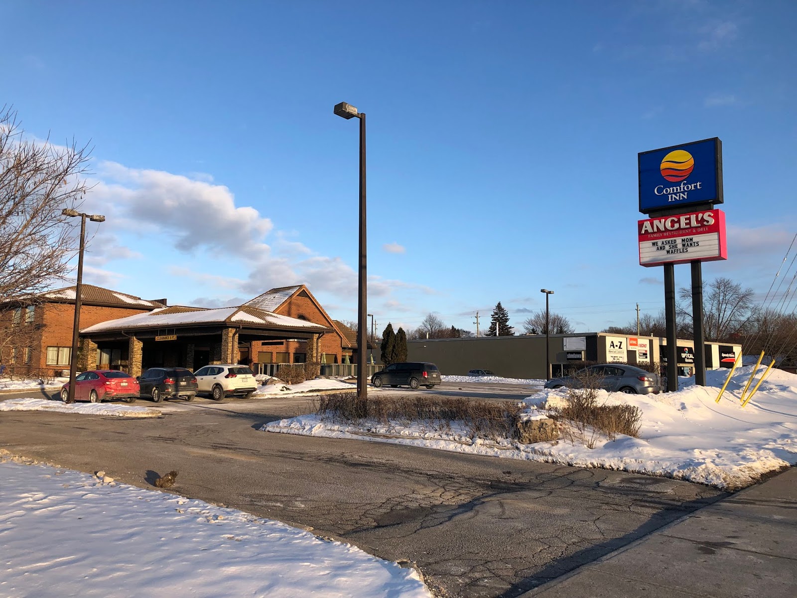 Teena In Toronto Comfort Inn Waterloo On