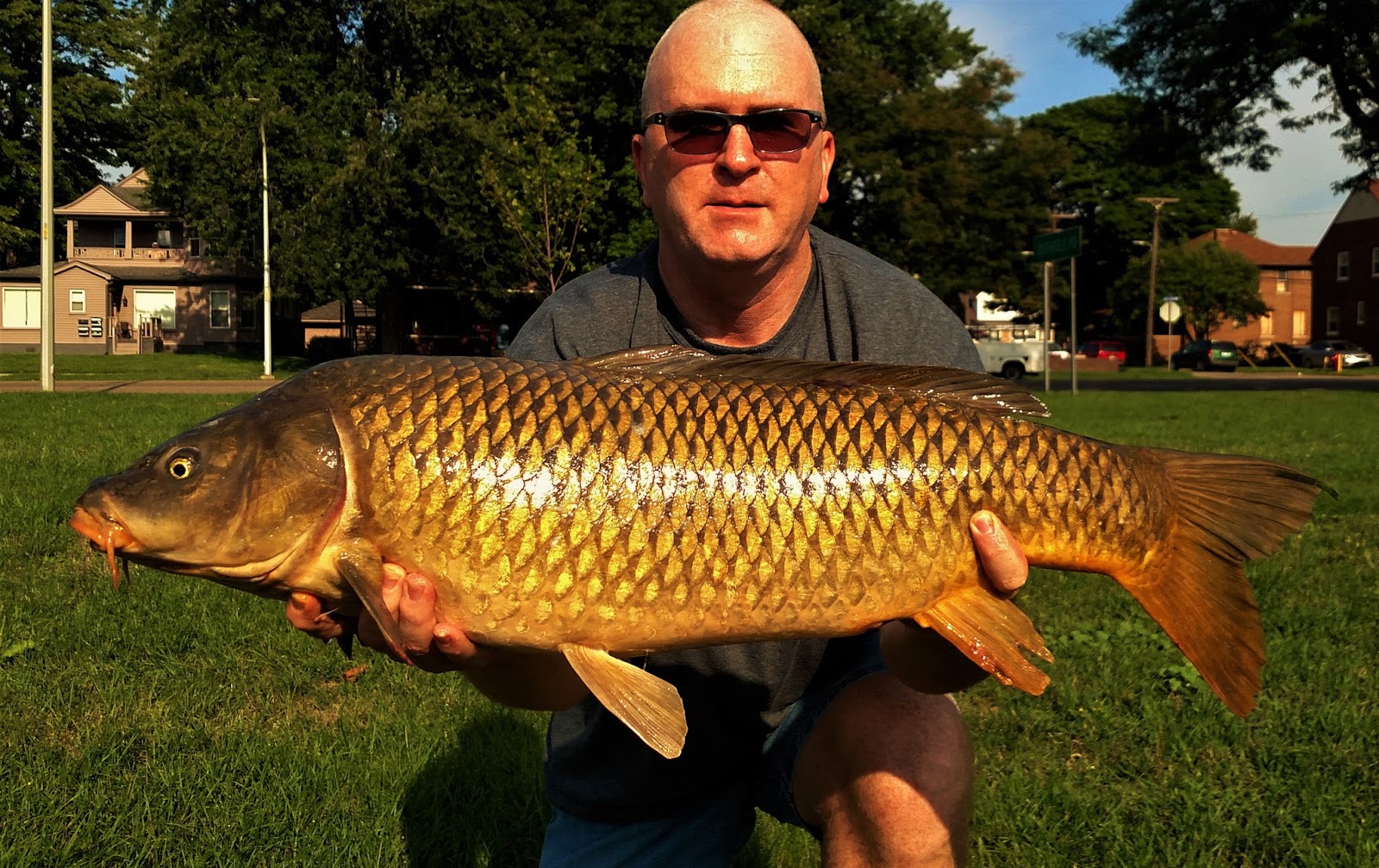 Michigan Carp Fishing Blog Detroit River Carp Fishing