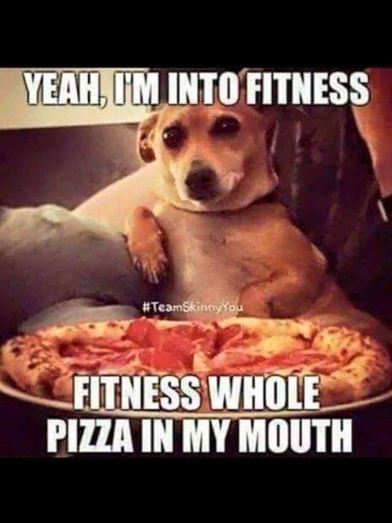 Have Fun Yeah I am not into Fitness Funny Dog Pictures