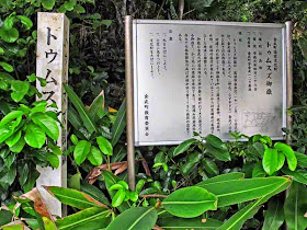 Tomusuzu Utaki, Sacred Site