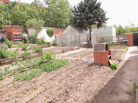 PLANIFICACIÓN Y ORGANIZACIÓN DEL HUERTO | En torno al huerto.