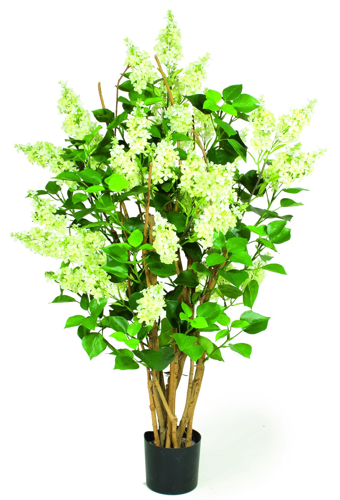 Finest quality artificial plants that look so realistic and natural