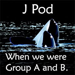 J Pod Groups began in 2010