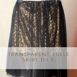 Transparent Tulle Skirt