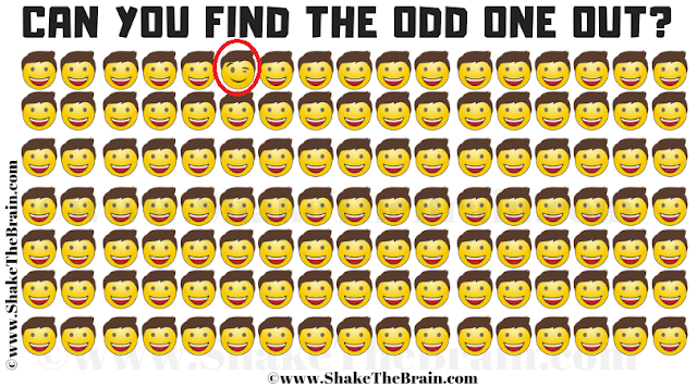 Answer of Odd One Out Picture Puzzle for Teens