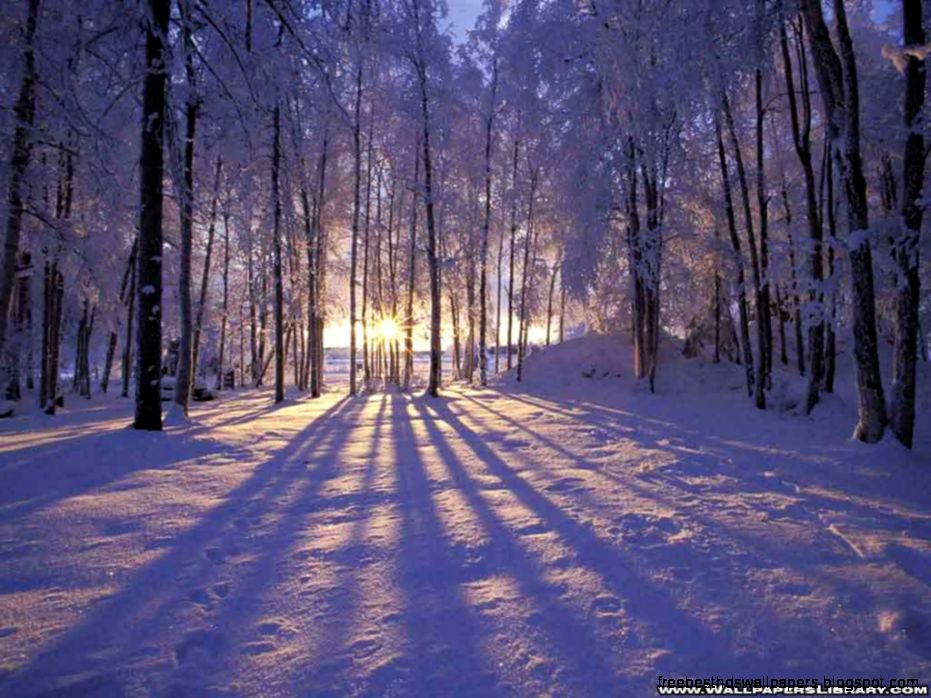 Desktop Background Winter  Wallpapers Records