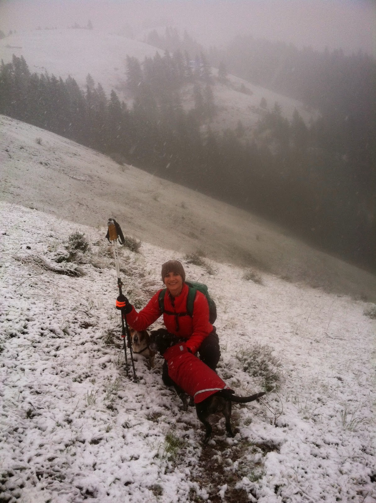 .Hike Mondays. NINE MILE RIDGE North Fork Umatilla Wilderness