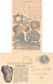 Postcard advertising seeds from H.W. Buckbee 