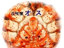 25 ++ タラバガニ メス 942842-タラバガニ メス
