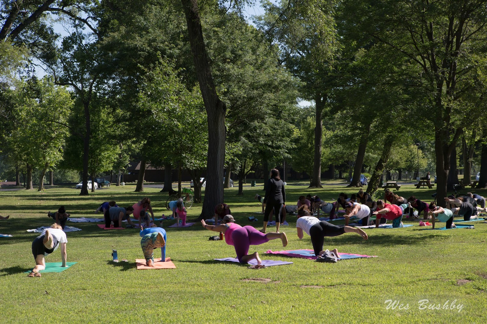 My NW Indiana and More Yoga In The Park 7916