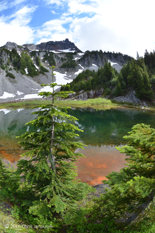 a wilderness journal: Snow Lake, Mt. Rainier National Park